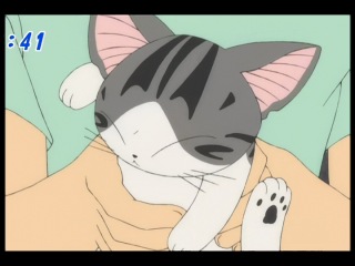 [woa] quiet kitten / chi's sweet home - episode 73 [ancord]