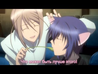 shugo chara / chara-fosters ikuto neko:)